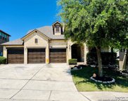 26007 Avellino Bluff, San Antonio image