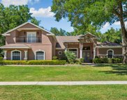 6224 Wild Orchid Drive, Lithia image