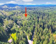 77 xxx menzel lake RD, Granite Falls image