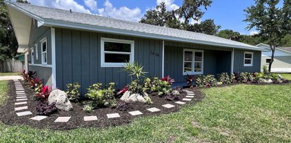 2428 Kumquat Drive, Edgewater