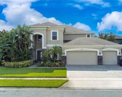12024 Alder Branch Loop, Orlando
