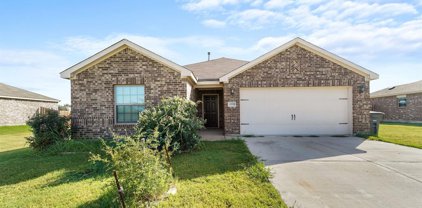 4559 Mares Tail  Drive, Forney