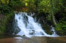 BARNARDSVILLE NC
