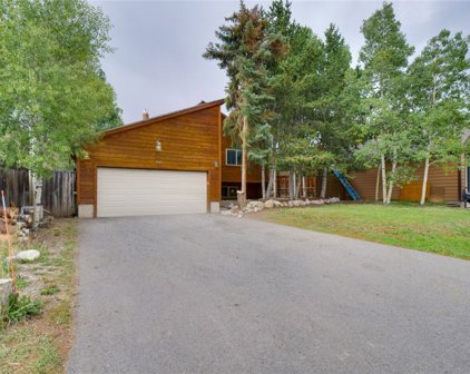 1645 N Badger  Lane, Silverthorne