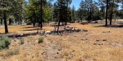 59777 Highway 74, Mountain Center
