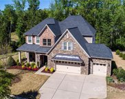 13620 Laughing Gull  Drive, Charlotte image