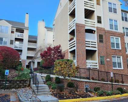 244 S Reynolds St Unit #307, Alexandria