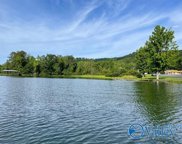 6 acres Pine Island Point, Scottsboro image