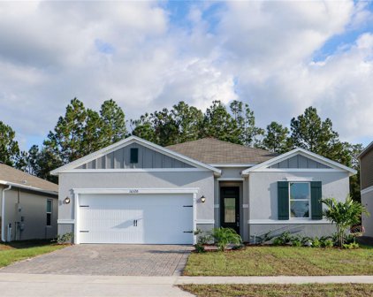 16320 Winding Preserve Circle, Clermont