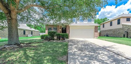 5219 Caraway Lake Drive Drive, Baytown