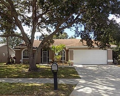 6209 64th Drive E, Palmetto