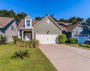 38 Circlewood Drive, Hilton Head Island image