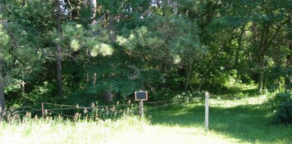 xxxx 229th  Avenue, Bethel