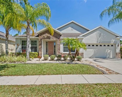 2237 Osprey Woods Circle, Orlando