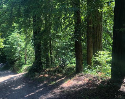 Lot 278 Garrapatos Redwoods Estates, Carmel