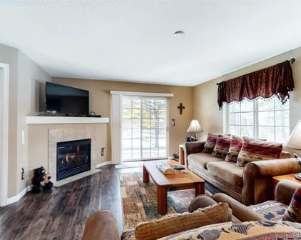 1395 Morgan Court Unit 702, Steamboat Springs
