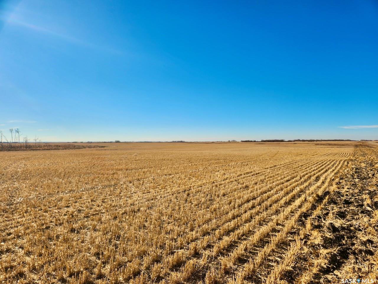 Creelman 356 Acres Grain Farmland, Fillmore, S0G 0X0