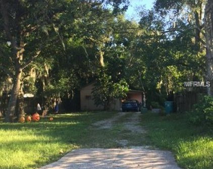 52 W Esther Street, Orlando