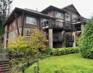 1175 Resort  Dr Unit #234, Parksville image