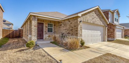 1650 Luckenbach  Drive, Forney