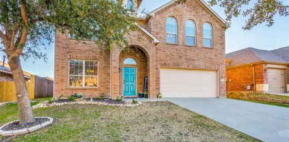 1041 Long Pointe  Avenue, Fort Worth