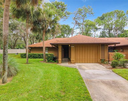 230 Heron Bay Circle, Lake Mary