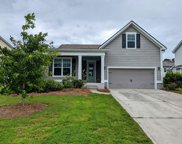 235 Swallowtail Court, Mount Pleasant image
