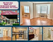 50 Merrick Avenue Unit #217, East Meadow image