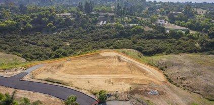 Lot # 3 Siete Leguas, Rancho Santa Fe