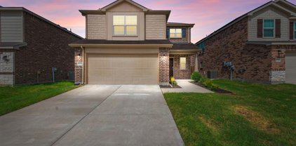 1604 Petrolia  Drive, Forney