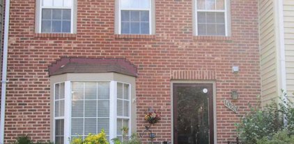10123 Walnut Wood Ct, Burke