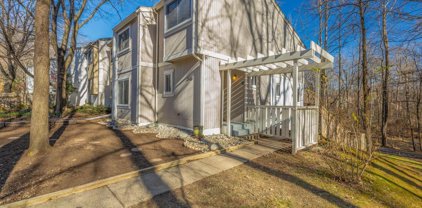 2318 Millennium Ln, Reston