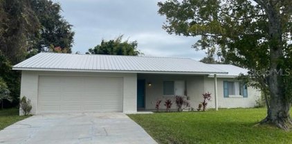 2907 Travelers Palm Drive, Edgewater