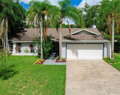 8613 Port Sudan Court, Orlando