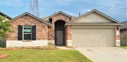 3131 Canadian Goose Lane, Baytown
