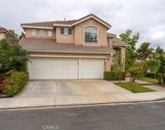 9 Arbusto, Irvine image