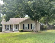 2919 Dublin Drive, Helena image