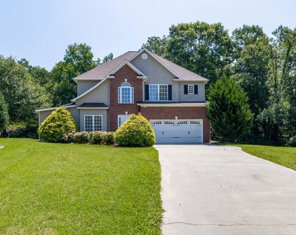 117 Tugaloo, Roebuck