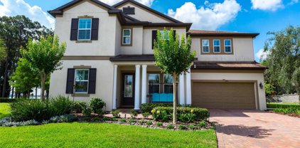 1440 Keystone Ridge Circle, Tarpon Springs