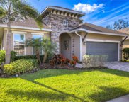 13935 Natures Reserve Drive, Lithia image
