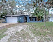 8844 Forest Lake Drive, Port Richey image