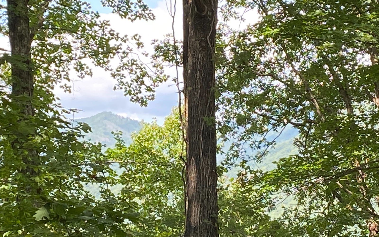 LT113 Shiloh Stables, Hayesville, 28904