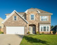 550 Malachite Ln, Chapin image