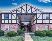 1034 Pinegate  Drive, St Louis image