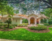 8961 Magnolia Chase Circle, Tampa image