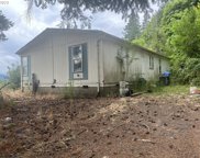 159 W ALDER ST, Alsea image