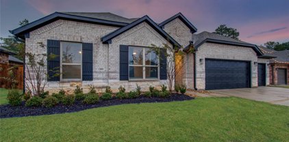 31302 Raleigh Creek Drive, Tomball