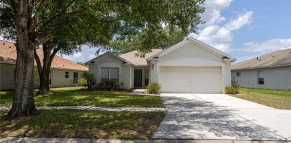 12948 Early Run Lane, Riverview