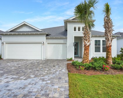 22 River Rise Way, Inlet Beach