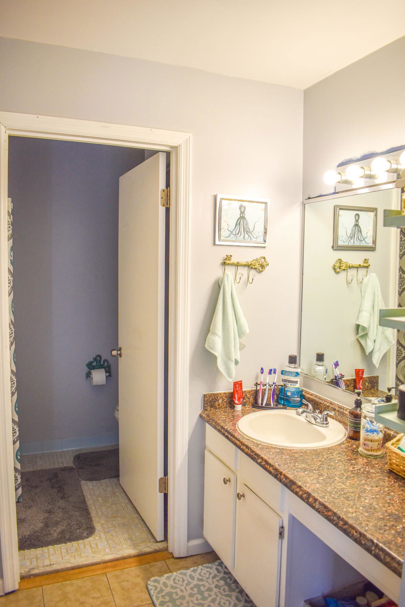 MLS 20024574 Appian Landing 4619 Moss Court, North CharlestonSC Real